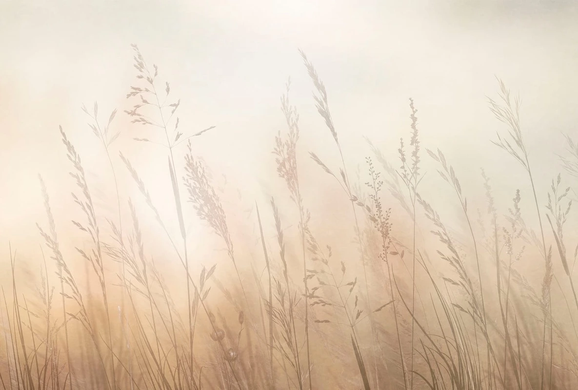 Фотообои и фрески на стену - современные, колосья, песочные