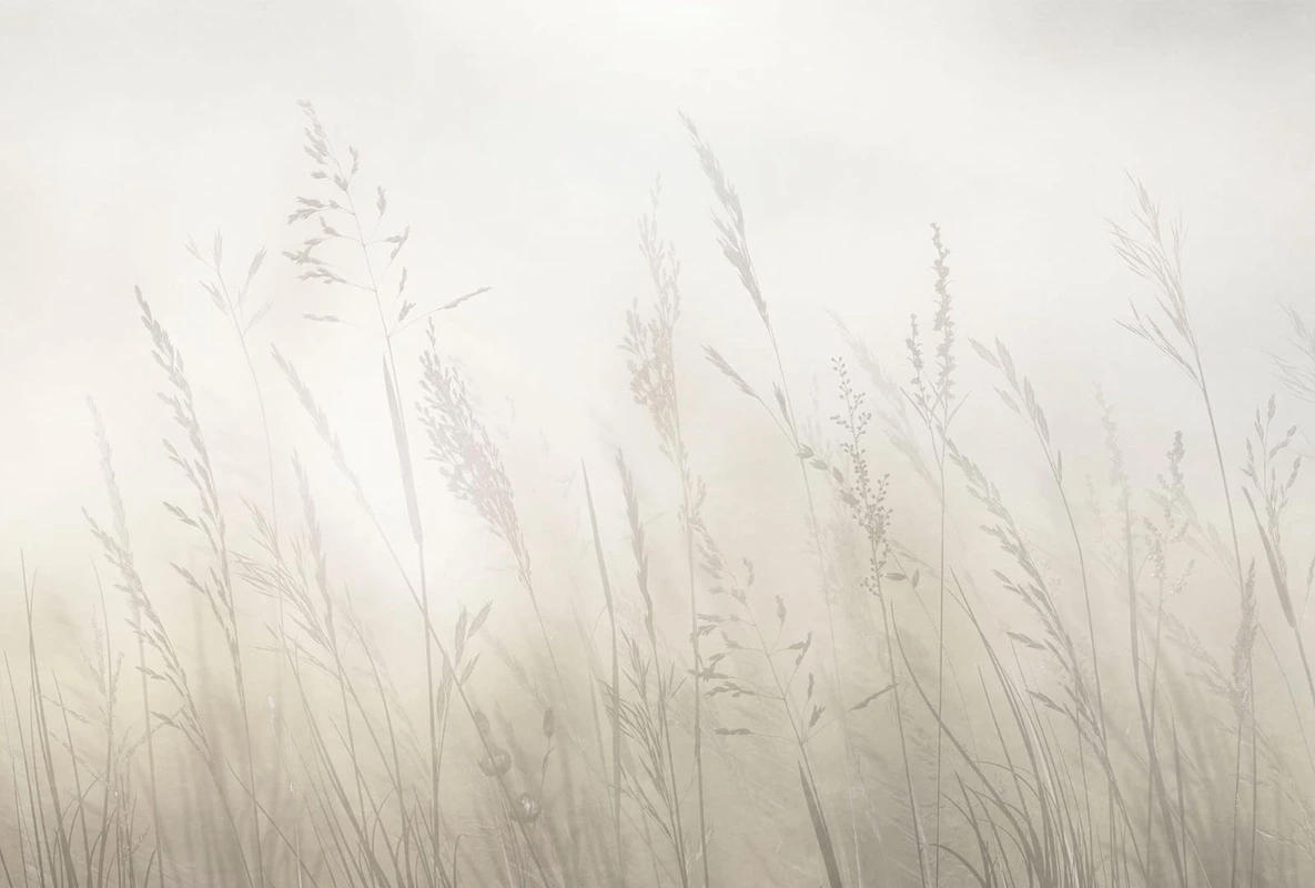 Фотообои и фрески на стену - современные, колосья, светло бежевые