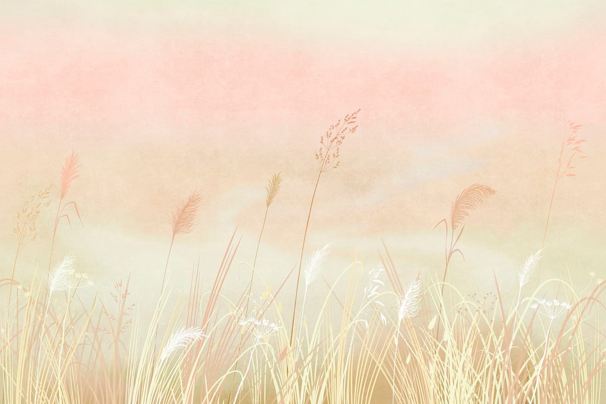 Фотообои на стену - современные, колосья, персиковая