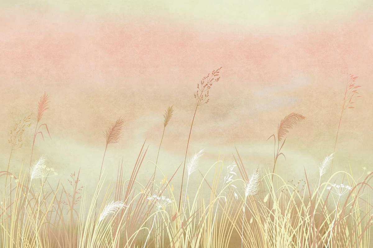 Фотообои и фрески на стену - современные, яркие, колосья, персиковая