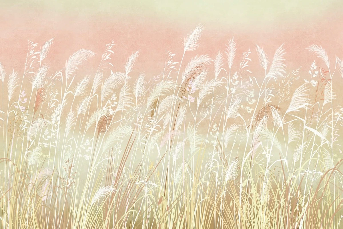 Фотообои и фрески на стену - современные, колосья, яркие, персиковые, белые