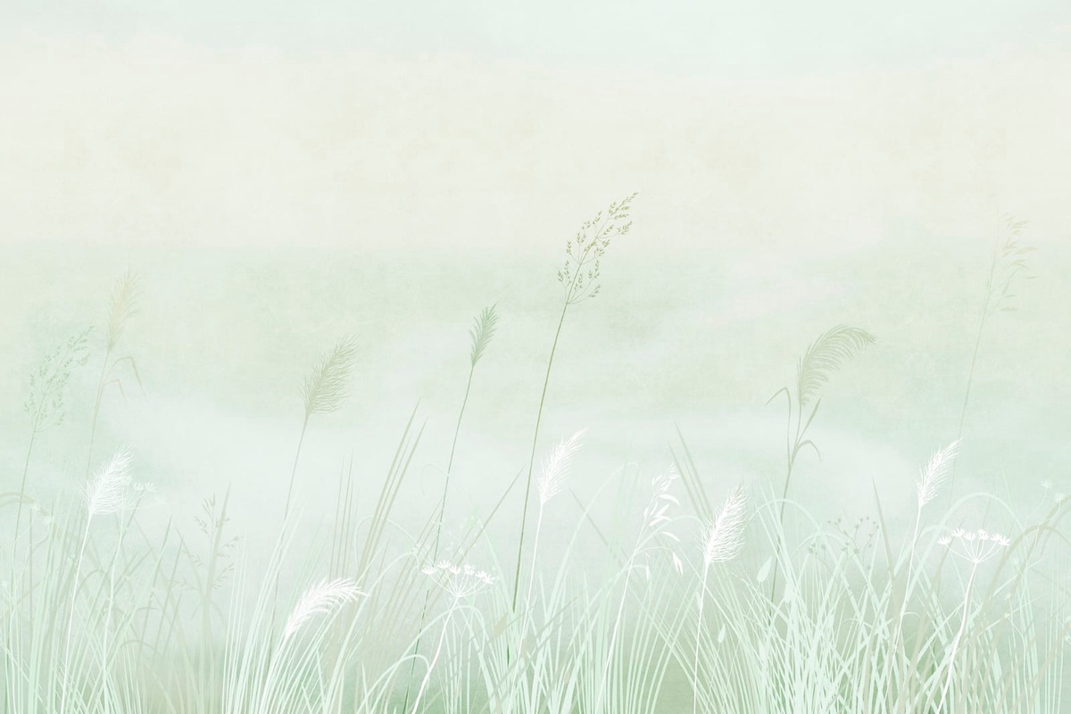 Фотообои на стену - современные, колосья, светло зеленая