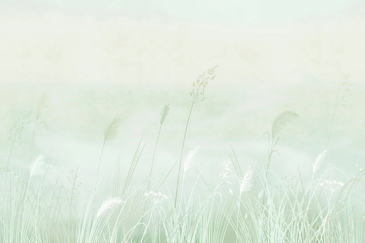 Фотообои и фрески на стену - современные, колосья, светло зеленая