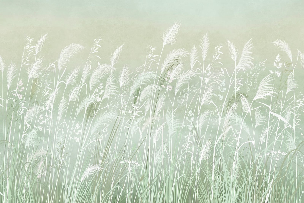 Фотообои на стену - современные, колосья, светло зеленая, белые