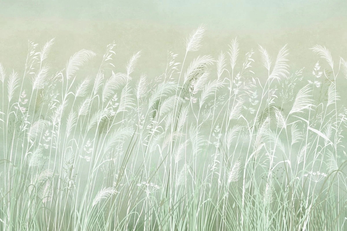 Фотообои и фрески на стену - современные, колосья, светло зеленая, белые
