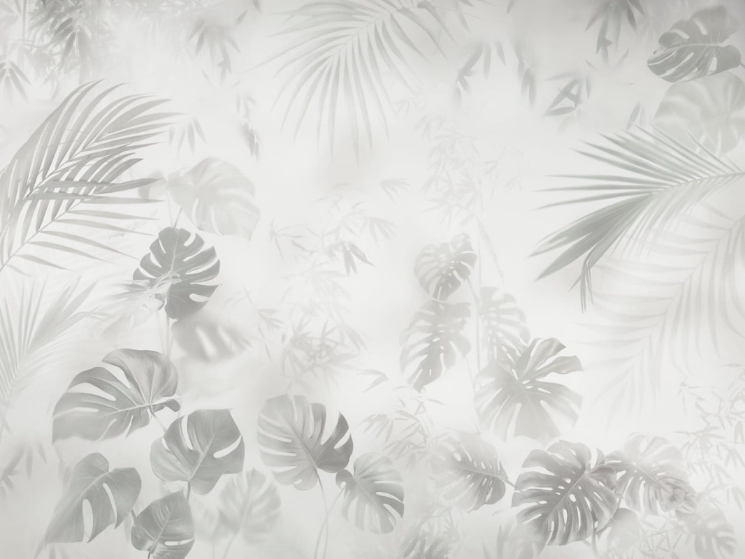 Фотообои на стену - современные, тропические листья, серо-зеленая