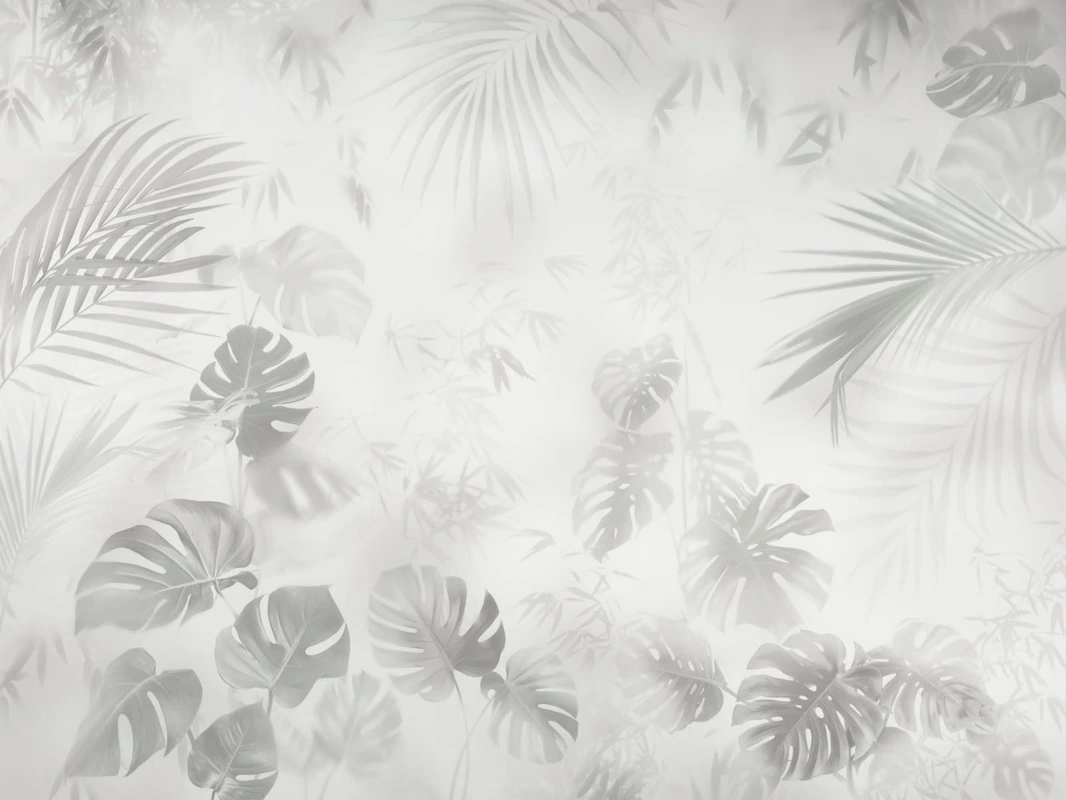Фотообои и фрески на стену - современные, тропические листья, серо-зеленая
