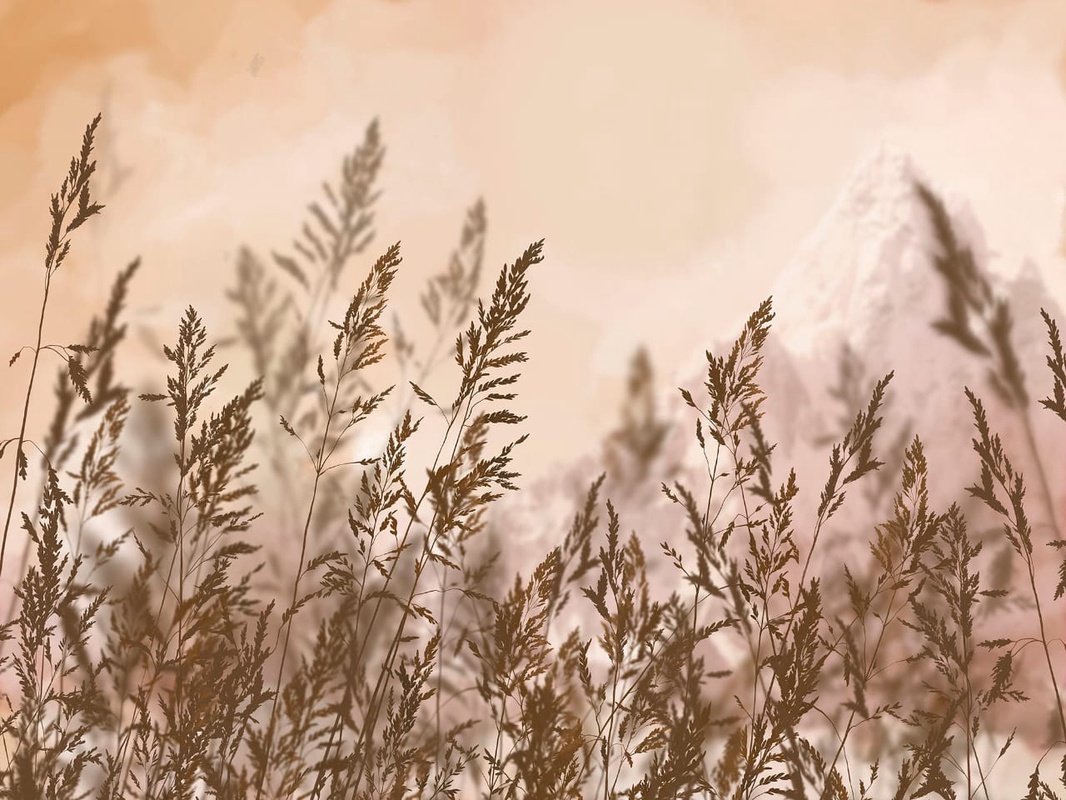 Фотообои и фрески на стену - современные, колосья, темно коричневые