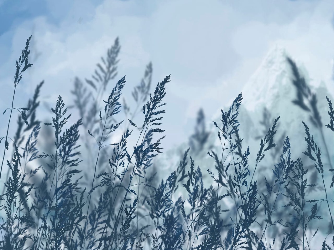 Фотообои и фрески на стену - современные, колосья, темно синие