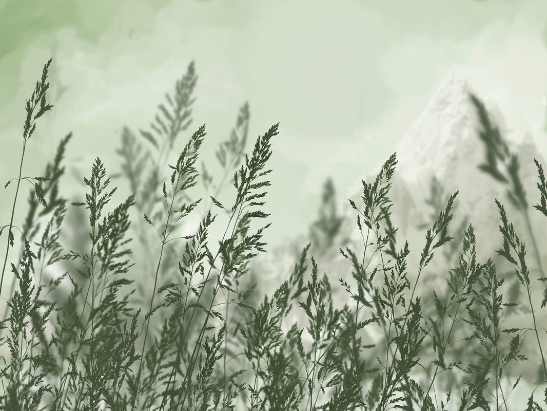 Фотообои на стену - современные, колосья, темно зеленые