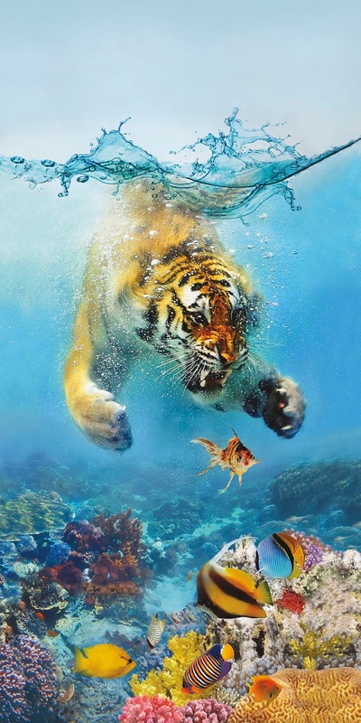 Фотообои на стену - в детскую комнату, тигр, подводный мир