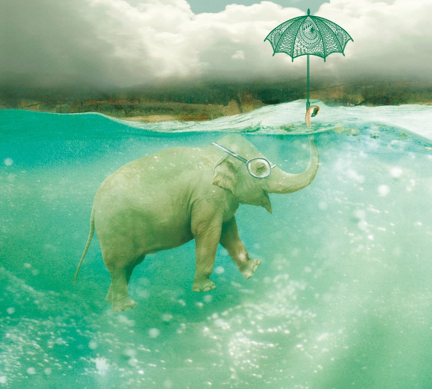 Фотообои на стену - в цирк, слон, под водой, слон в море, бирюзовые