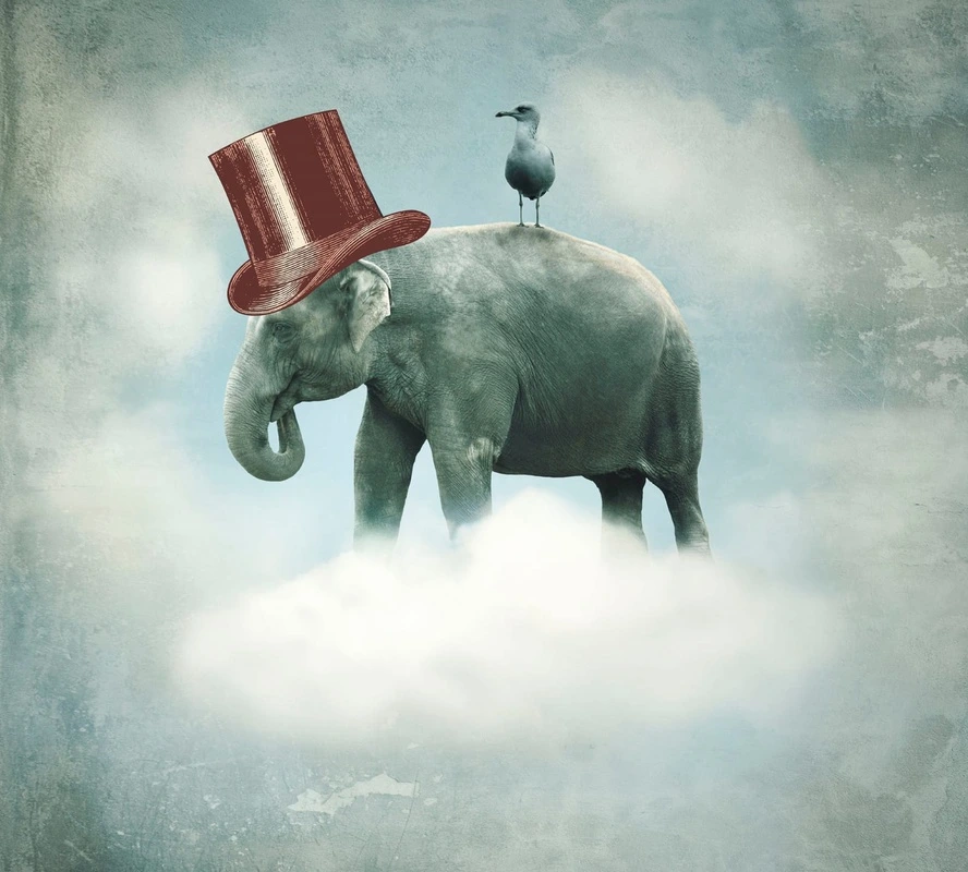 Фотообои и фрески на стену - в цирк, слон, в цилиндре, слон в цилиндре