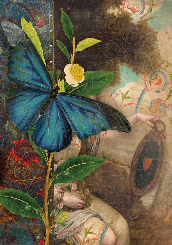 Фотообои и фрески на стену - в детскую комнату, бабочка, синий, яркая