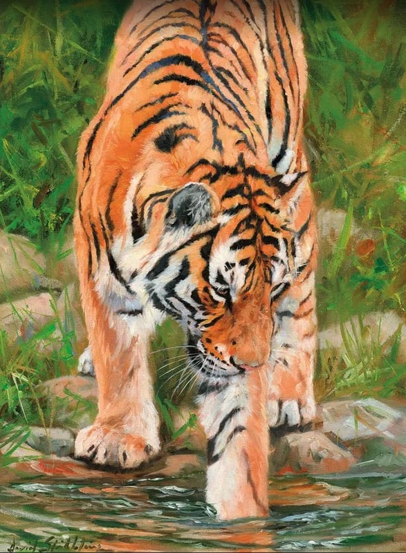 Фотообои и фрески на стену - в цирк, тигр, в реке