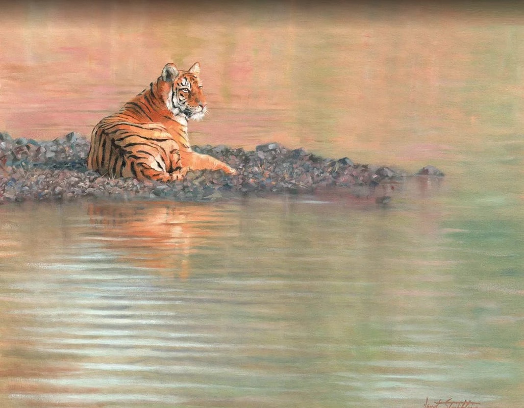 Фотообои и фрески на стену - в зоопарк, тигр, у реки