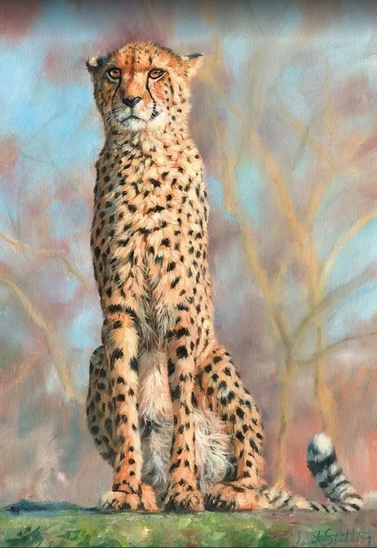 Фотообои и фрески на стену - в зоопарк, ягуар, пятнистый сфинкс, гепард