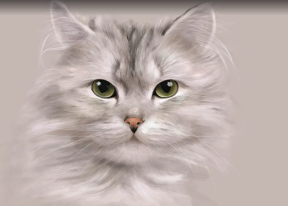 Фотообои и фрески на стену - в детскую комнату, котик, светло серый