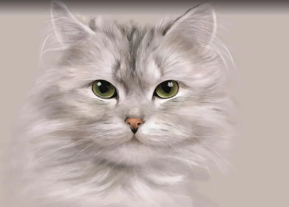 Фотообои и фрески на стену - в детскую комнату, котик, светло серый