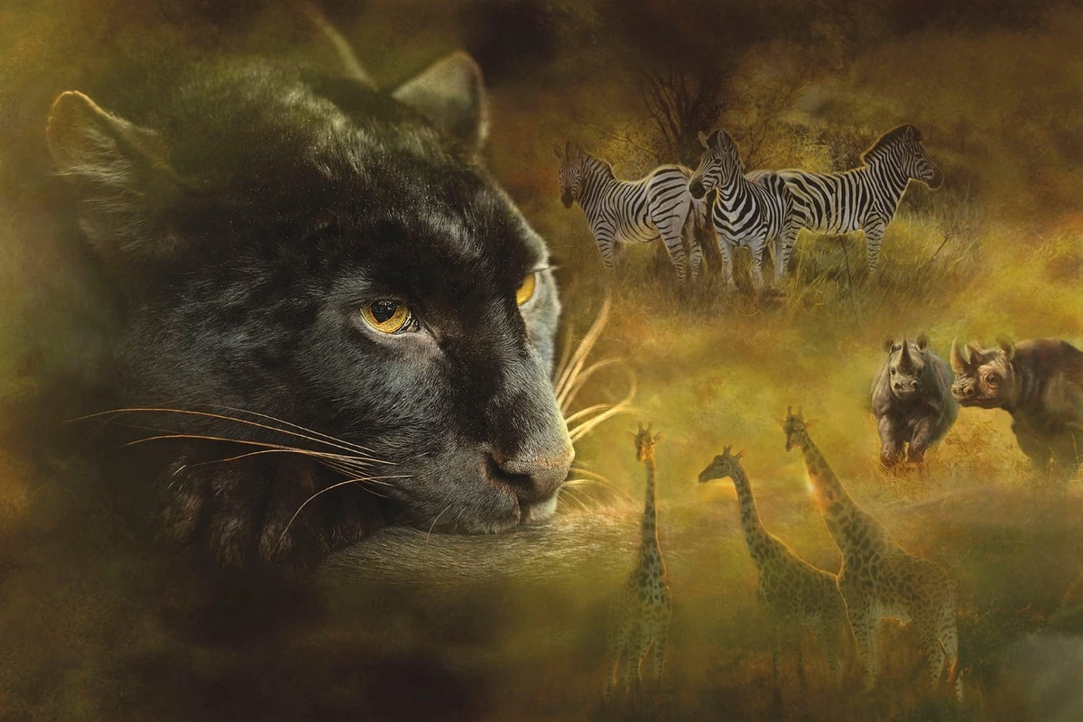 Фотообои и фрески на стену - мужские, пантера, темные, золотые