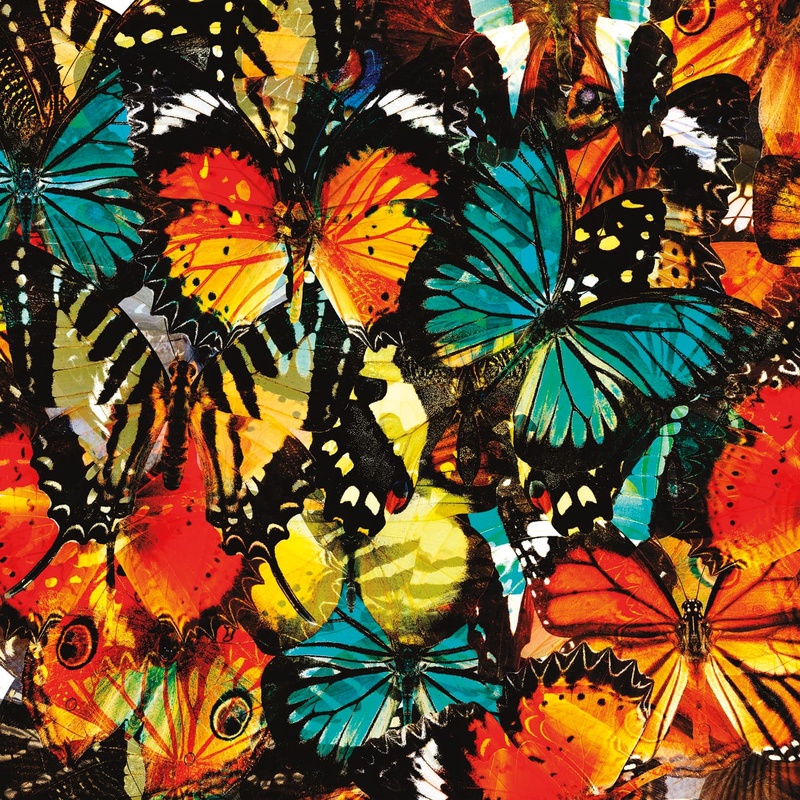 Фотообои и фрески на стену - бабочки, красно-синяя