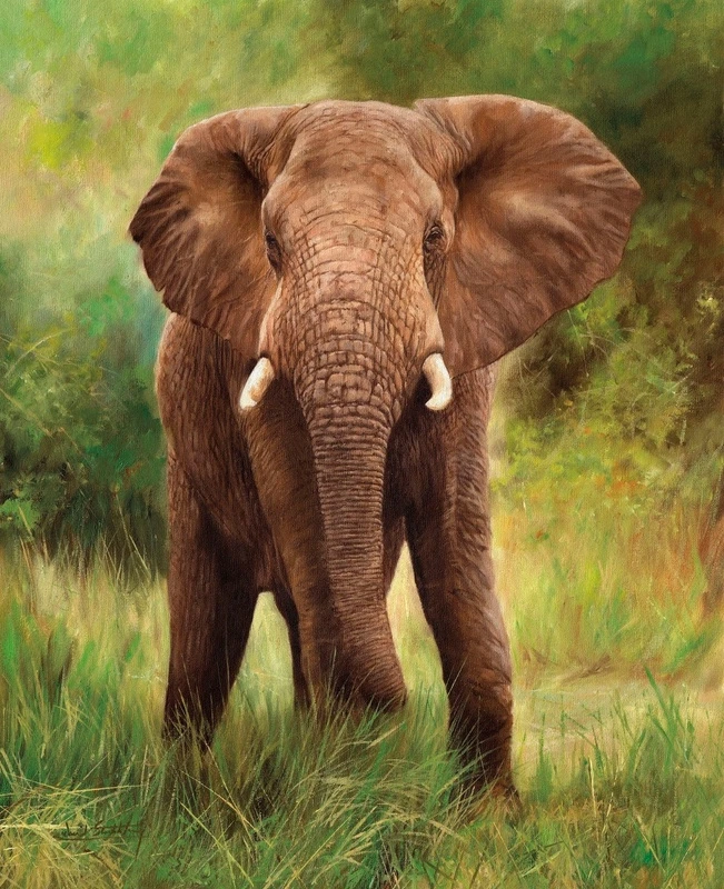 Фотообои и фрески на стену - живопись, слон, коричневый