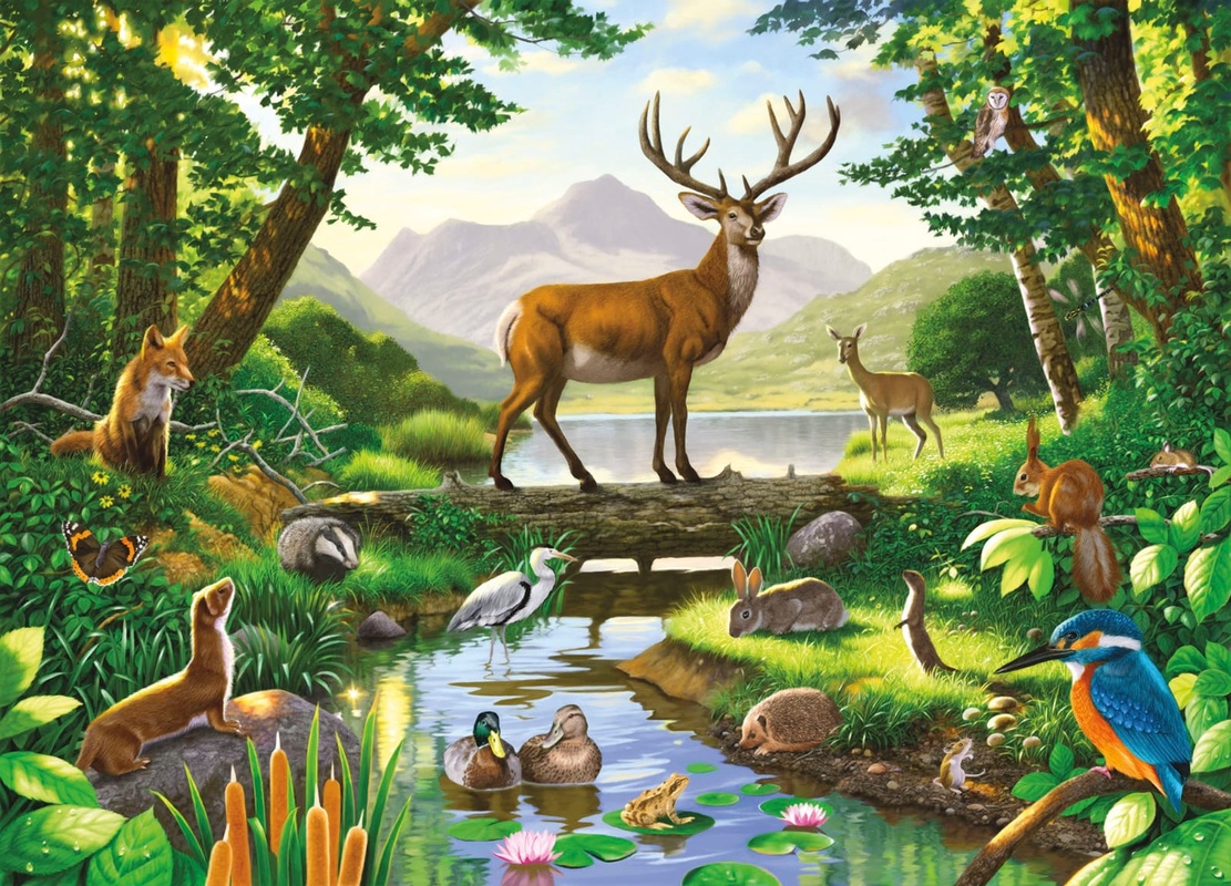 Фотообои и фрески на стену - в детскую комнату, природа звери в лесу, звери в лесах россии, олень