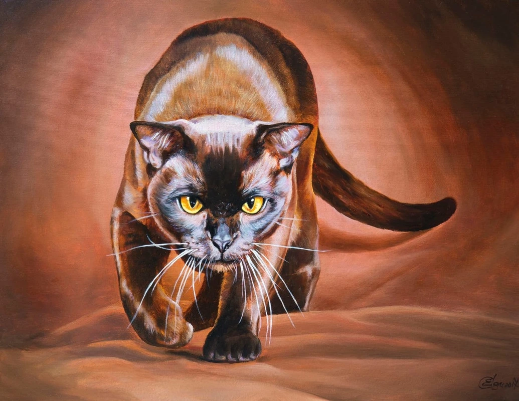 Фотообои и фрески на стену - в детскую комнату, черная пантера, черная кошка