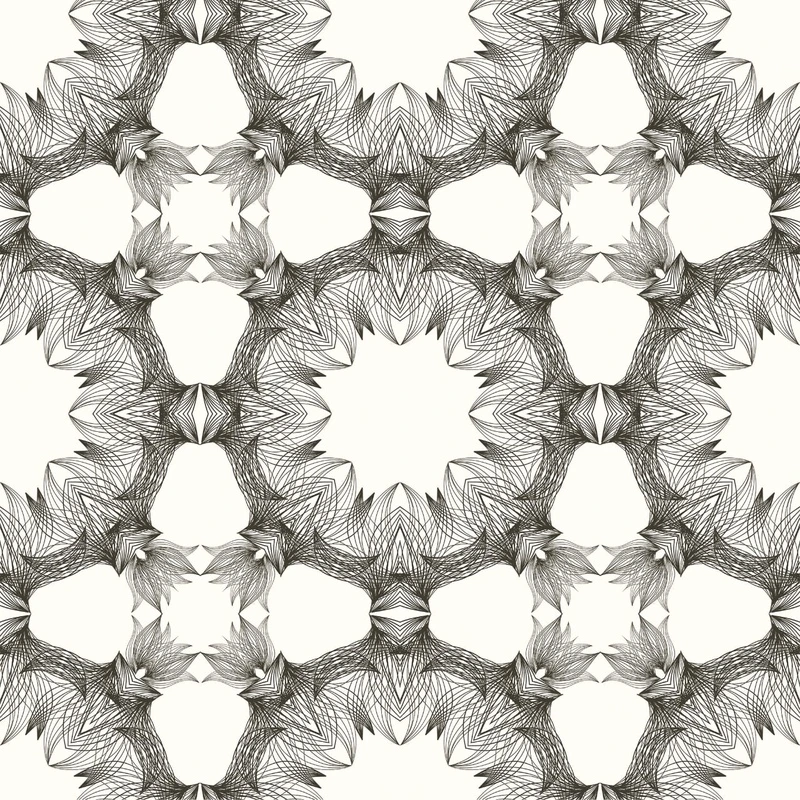 Фотообои и фрески на стену - абстракция, черно-белые, узор, калейдоскоп