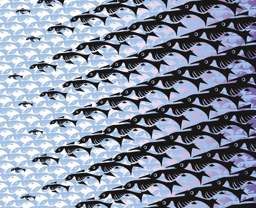 Фотообои на стену - абстракция, черно-голубая, рыбы, рябь