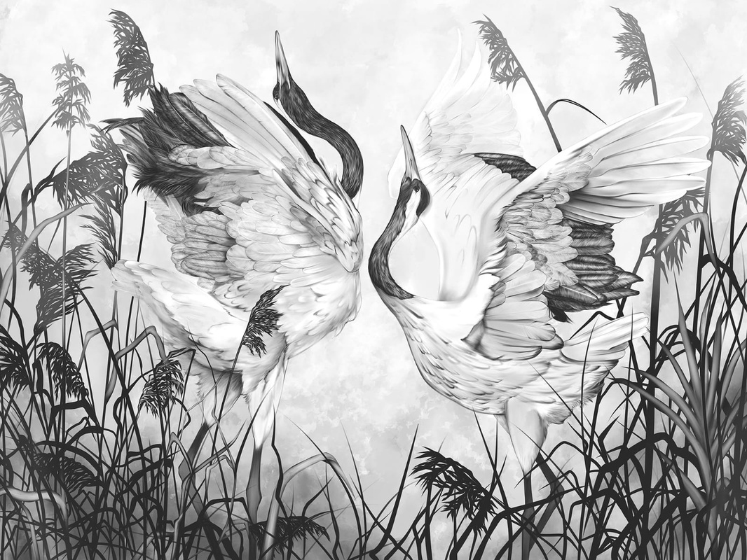 Фотообои на стену - живопись, черно-белые, журавли