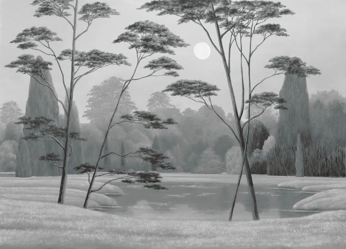 Фотообои и фрески на стену - пейзаж, черно-белые, с итальянскими соснами, деревья, серые