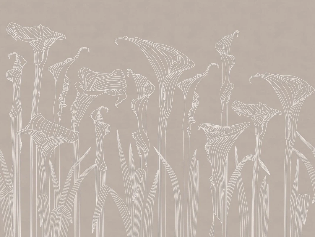 Фотообои и фрески на стену - графика, линии, бежевые, каллы