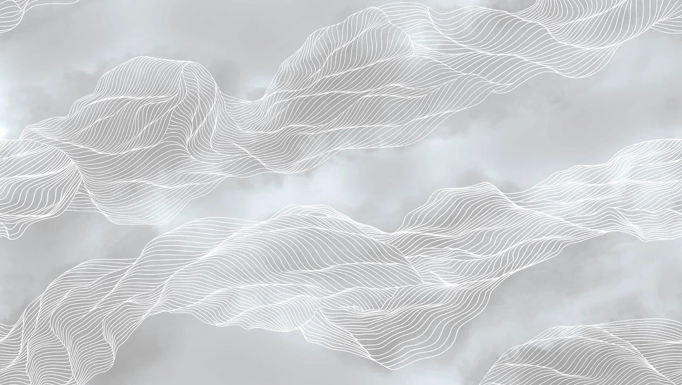 Фотообои и фрески на стену - графика, вуаль, серебряные линии, серая