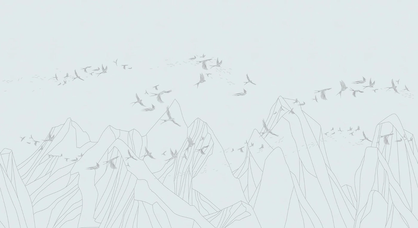 Фотообои и фрески на стену - графика, горы, птицы, серые линии, светло голубая