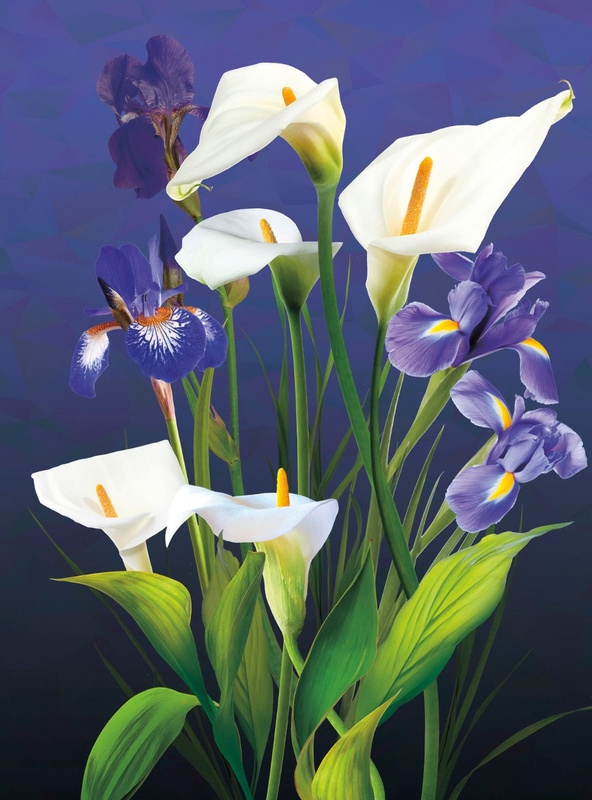 Фотообои и фрески на стену - цветы, каллы, на синем фоне