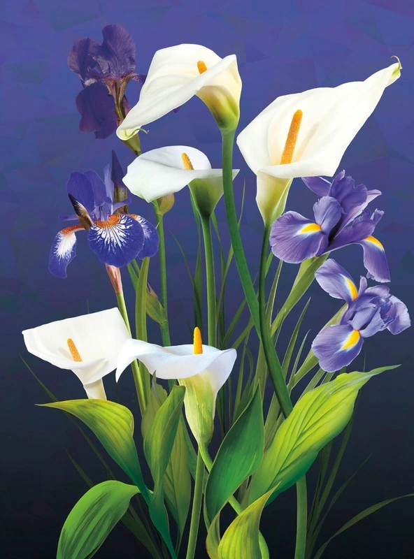 Фотообои на стену - цветы, каллы, на синем фоне