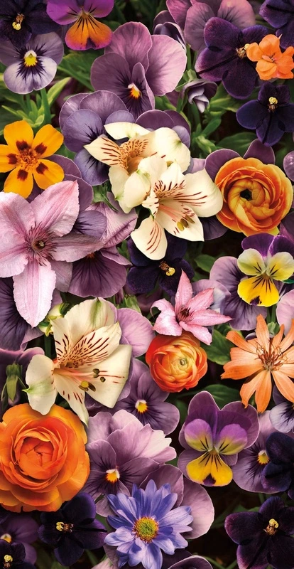 Фотообои на стену - цветы, лилии, оранжевые