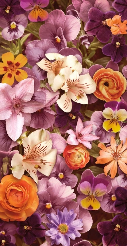 Фотообои на стену - цветы, лилии, желто-оранжевые