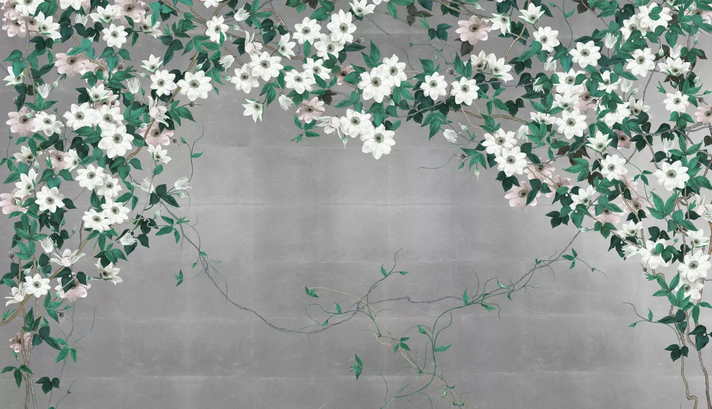 Фотообои и фрески на стену - зеленые, серые, листья, лианы, цветы, белые