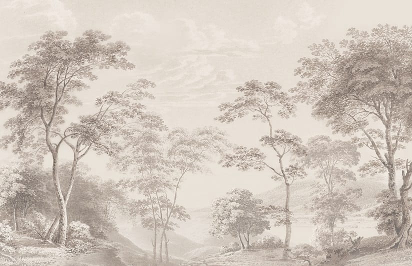 Фотообои и фрески на стену - пейзаж, лес, природа, серый лес, красивые обои лес, в спальню, спальни лес, на стену лес