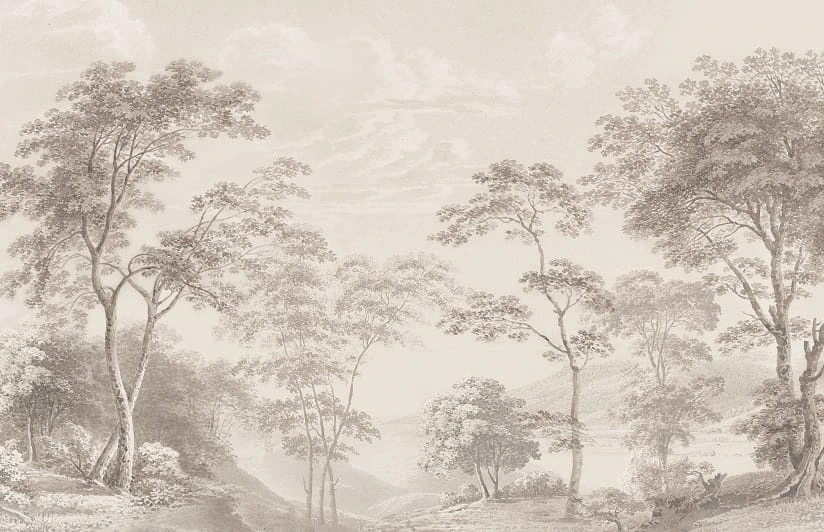 Фотообои и фрески на стену - пейзаж, лес, природа, серый лес, красивые обои лес, в спальню, спальни лес, на стену лес, новинки