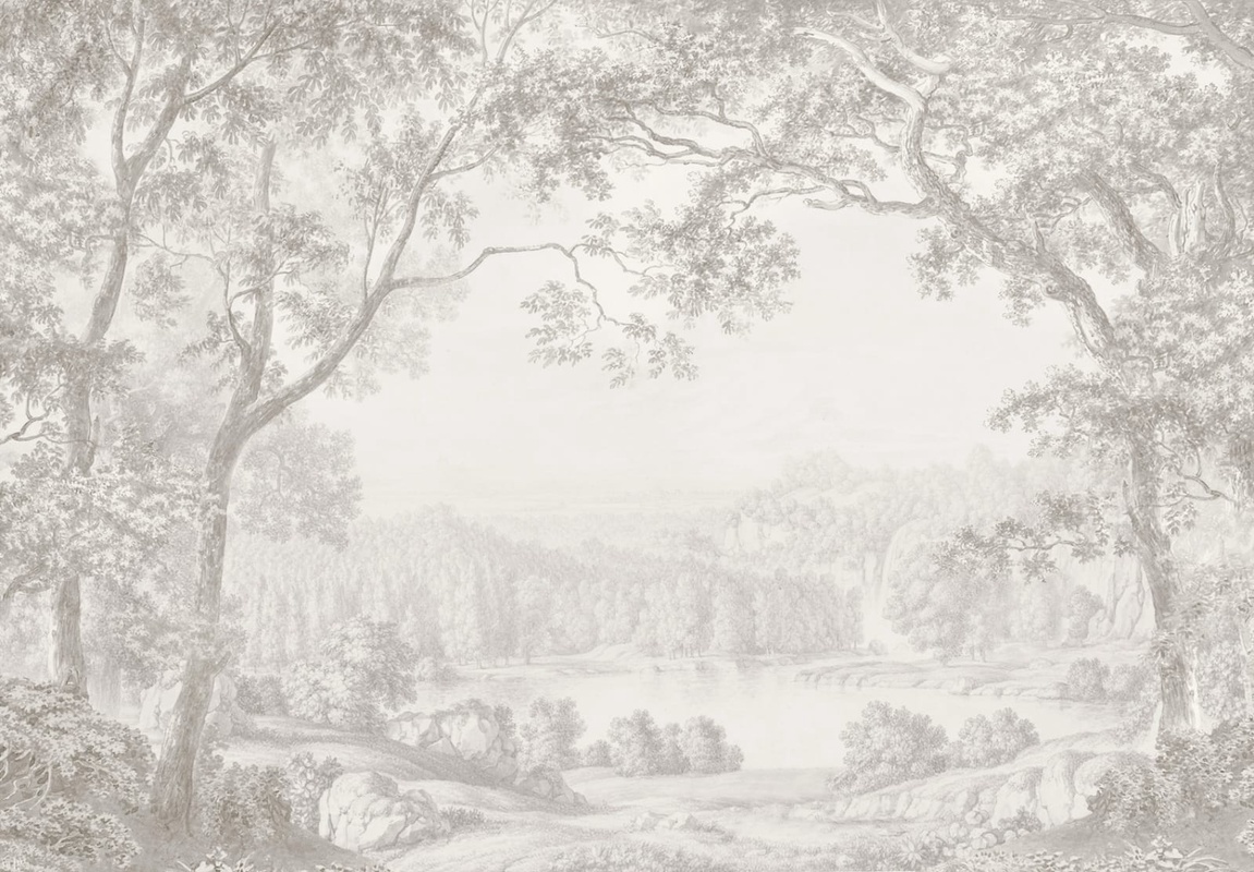 Фотообои на стену - пейзаж, черно-белые, деревья, серый лес, в спальню, красивый лес, природа, лес на стену