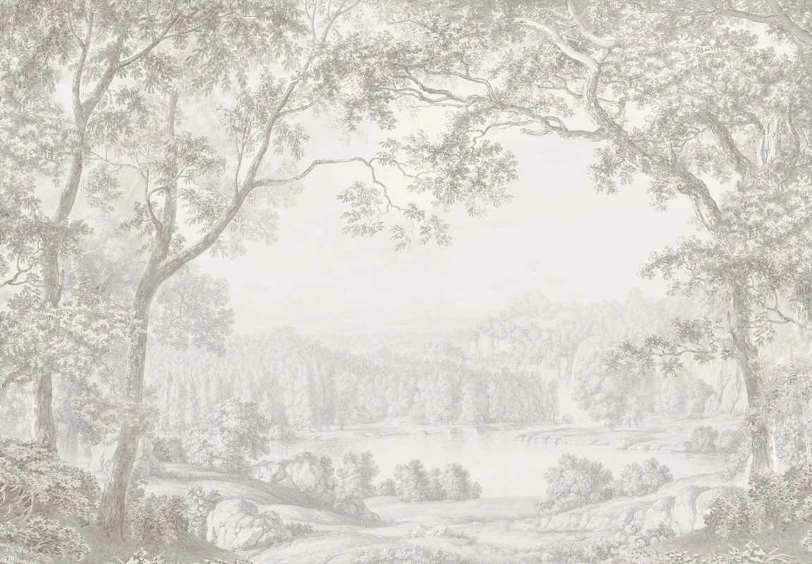 Фотообои на стену - пейзаж, черно-белые, деревья, серый лес, в спальню, красивый лес, природа, лес на стену, новинки