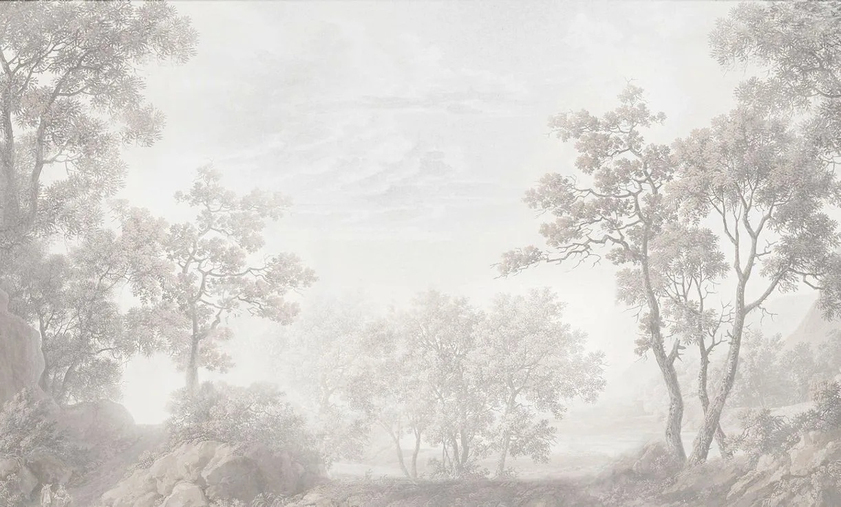 Фотообои на стену - пейзаж, лес, деревья, серые, красивый лес, лес в тумане, деревья в тумане, туманный лес, лес в интерьере