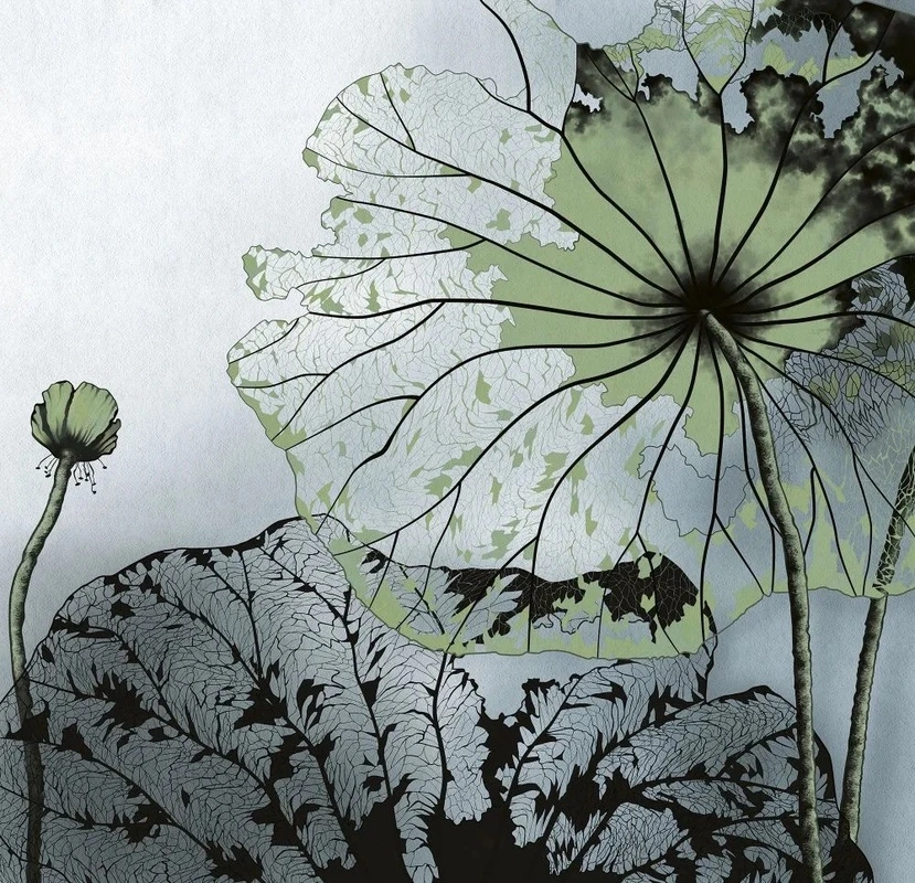 Фотообои и фрески на стену - в ванную комнату, графика, зеленая, черная