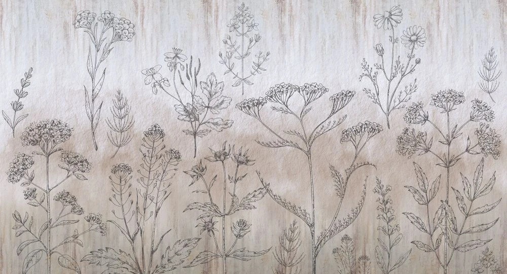 Фотообои и фрески на стену - в ванную комнату, графика, полевые цветы, бежевые