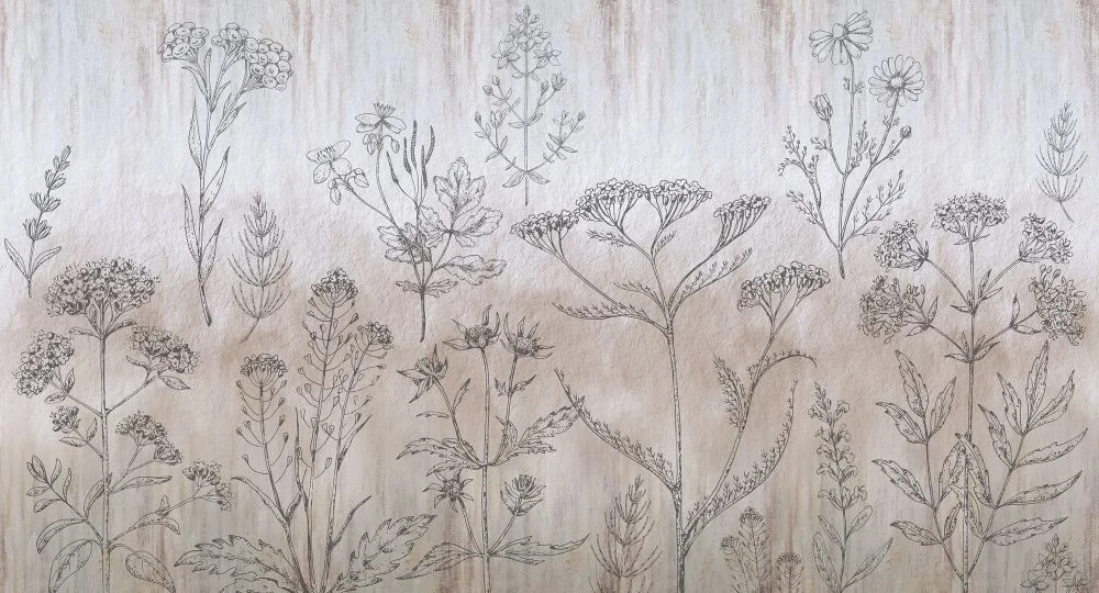 Фотообои и фрески на стену - в ванную комнату, графика, полевые цветы, бежевые