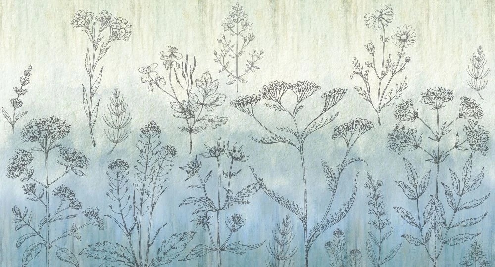 Фотообои на стену - в ванную комнату, графика, полевые цветы, светло голубая