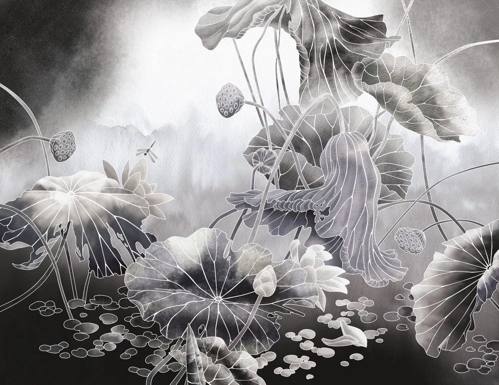 Фотообои и фрески на стену - в ванную комнату, графика, лотосы, листья лотосов, черно-белые